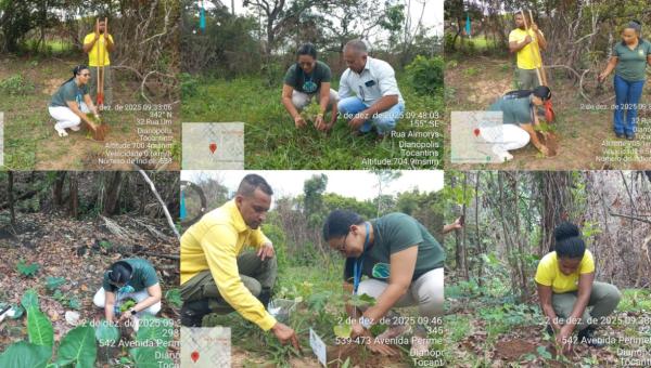 Dianópolis realiza Dia de Campo com plantio de mudas e ação de educação ambiental