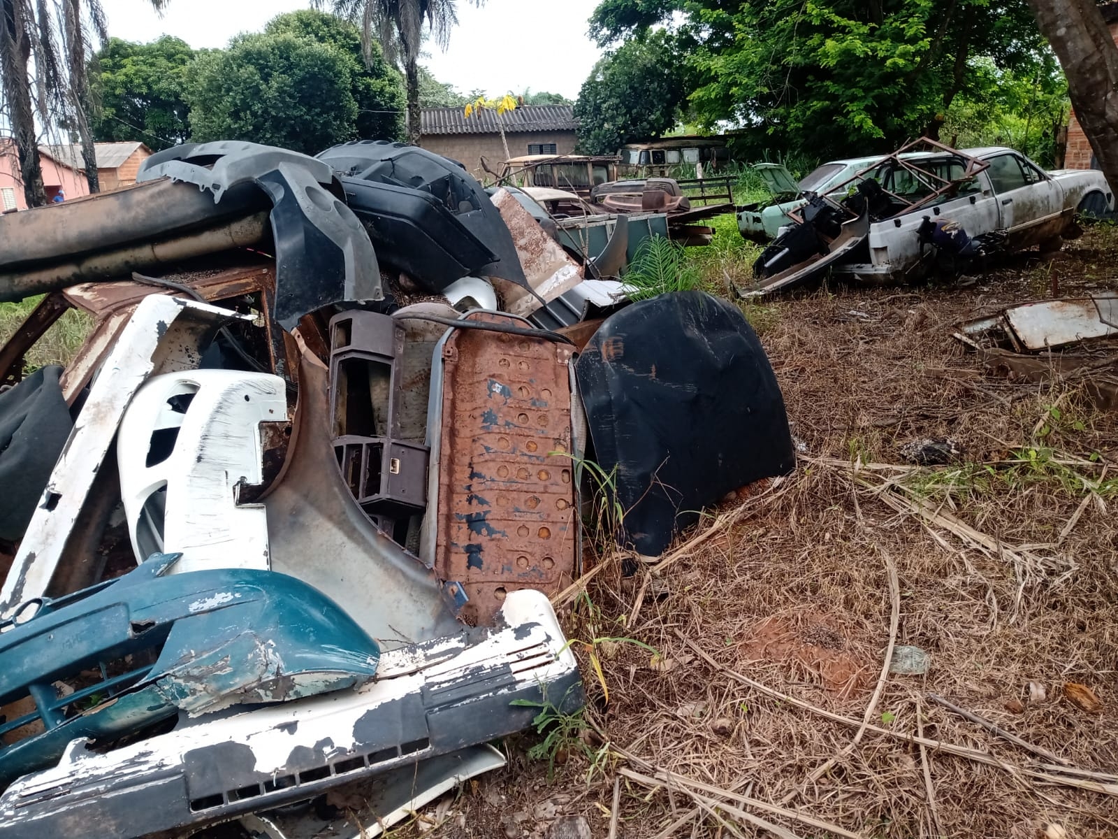 Vigilância ambiental reforça a importância da limpeza dos terrenos baldios a fim de evitar focos da dengue