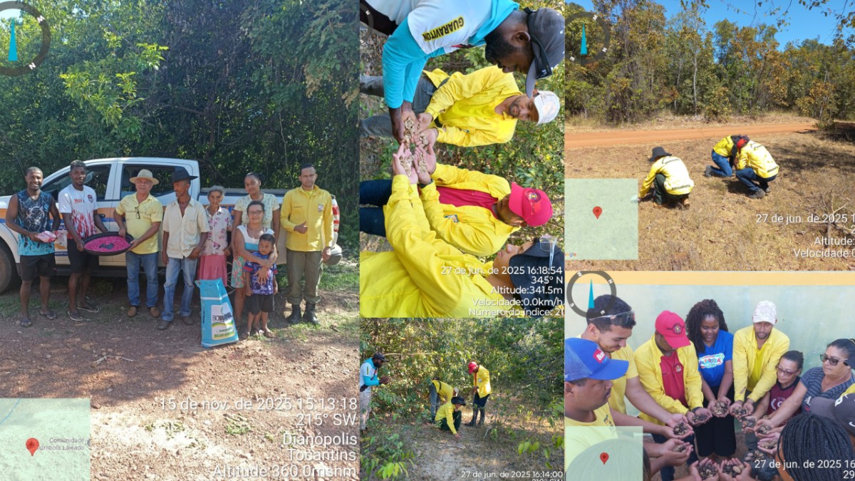 Dianópolis fortalece ações ambientais com atividades do banco de sementes em território quilombola