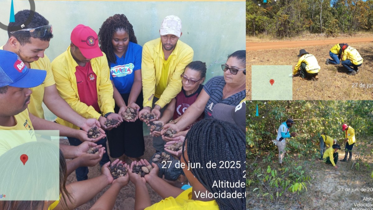 Dianópolis fortalece ações ambientais com atividades do banco de sementes em território quilombola